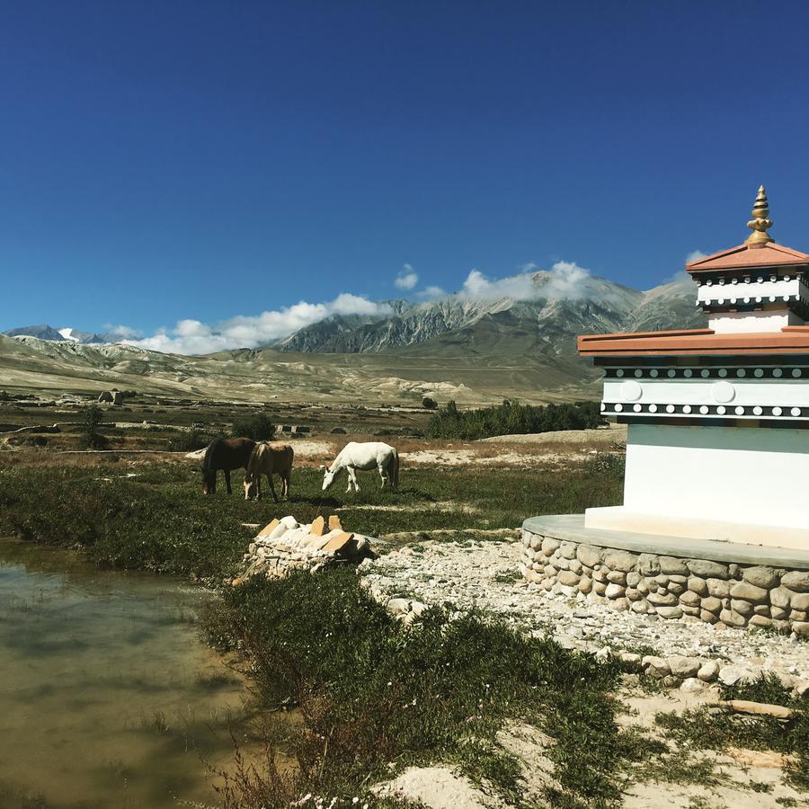Royal Mustang Resort Nambo Luaran gambar